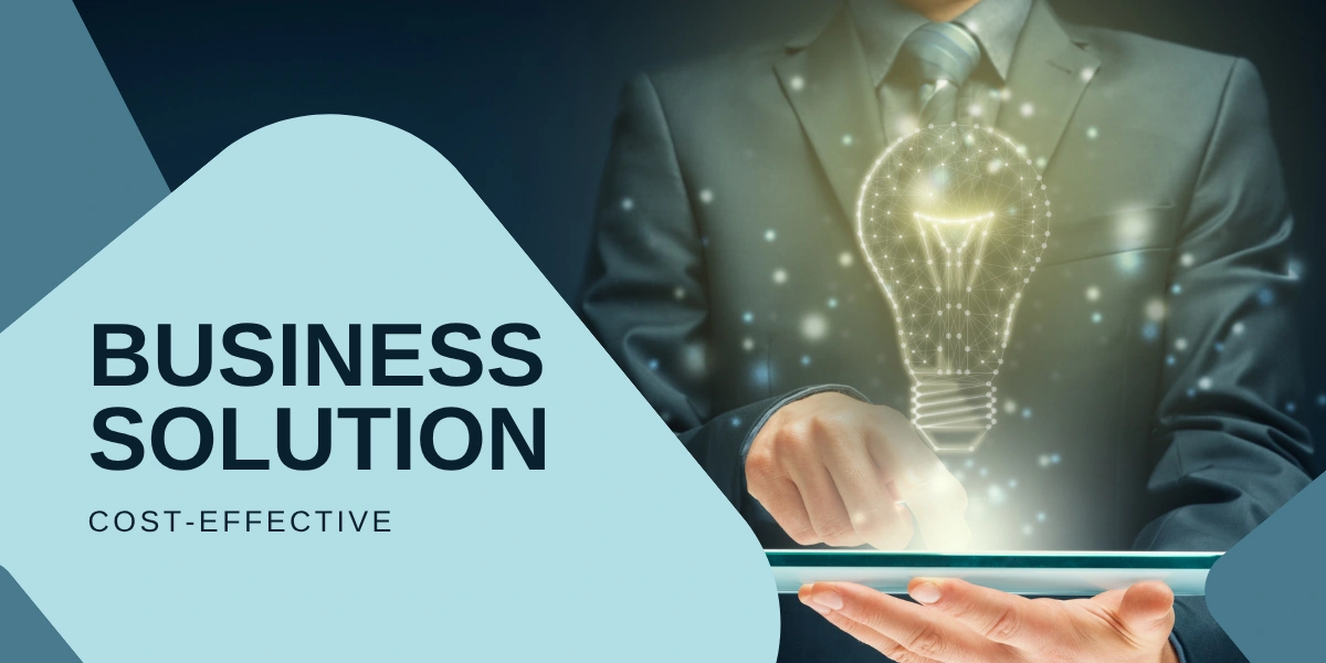 Cost-Effective Business Solution DWS